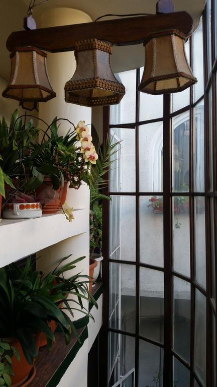 Vila Monica Bed & Breakfast Targu-Mures Bagian luar foto