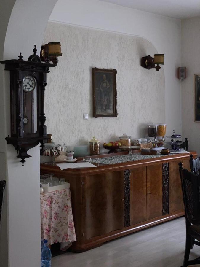 Vila Monica Bed & Breakfast Targu-Mures Bagian luar foto