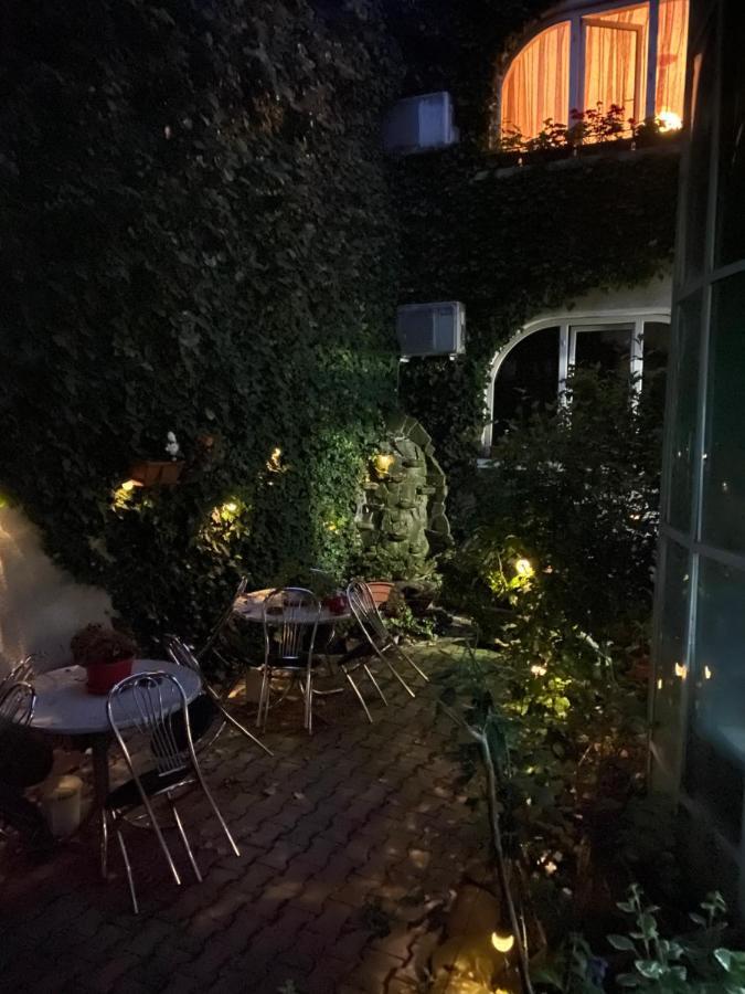 Vila Monica Bed & Breakfast Targu-Mures Bagian luar foto