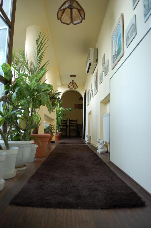Vila Monica Bed & Breakfast Targu-Mures Bagian luar foto